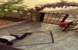 Patenci gençler polis sirenini duyunca kaçmak için...