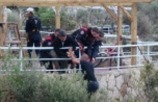 Polis, çiçek sözüyle intihardan vazgeçirdi