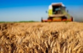 Tarım ve gıda kıymete biniyor