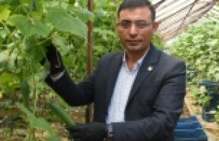 Üretimi sürdüren Alanyalı üretici destek bekliyor