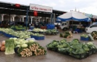 Ürün bolluğu yaşanan Antalya halinden Türkiye'ye...