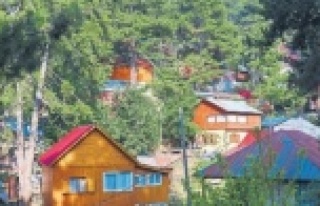 Yayla evlerini soyan şüpheli yakalandı