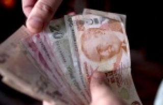 Yeni 10 TL'ler tedavüle çıkıyor