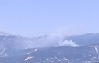 Akdenizin akciğerleri alev alev