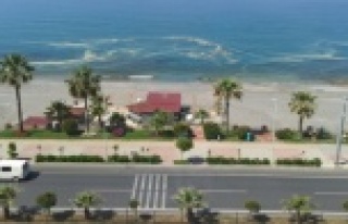 Alanya bu görüntüyü tartışıyor!