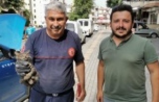 Alanya'da araç motoruna sıkışan yavru kedi...