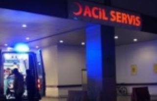 Alanya'da kafasını kayaya vurdu, cezayı yedi!