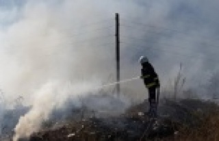 Alanya'da yangın seraya sıçradı