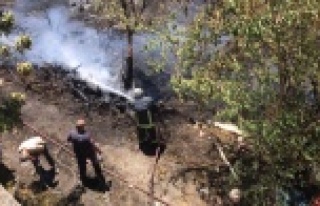 Alanya'da yerleşim alanlarını korkutan yangın