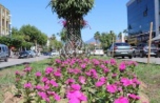 Atatürk Caddesinde peyzaj çalışmaları sürüyor