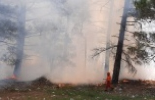 Çobanların yaktığı ateş ormana sıçradı