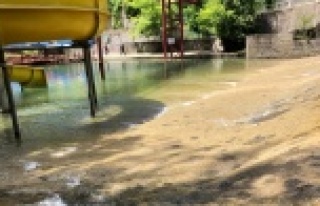 Dimçayı'na can suyu verildi