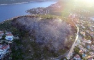 Haluk Levent'ten Kaş yangını paylaşımı