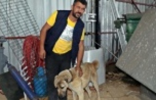 Hırsızlar insafa gelince...