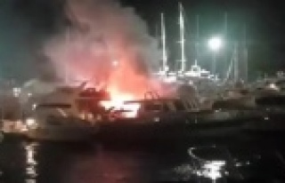 Marinadaki yatta korkutan yangın