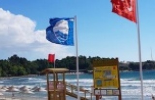 Türkiye'de en çok mavi bayağa sahip il Antalya!