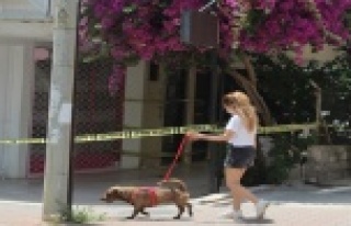 10 dairenin bulunduğu bina karantinaya alındı