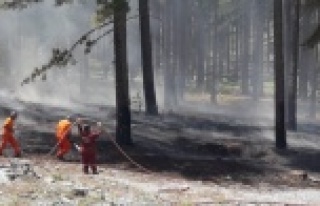 Alanya'da korkutan orman yangını