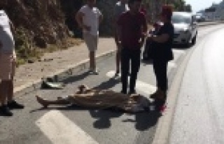 Alanya'da motosikletten düşüp kafasını kaldırıma...