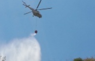 Alanya'da ormanlık alanda korkutan yangın