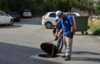 Alanya'da sinekle mücadeleye 180 kişilik ekip