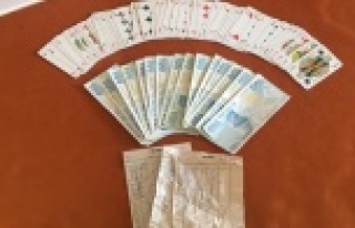 Alanya'da villaya kumar baskını