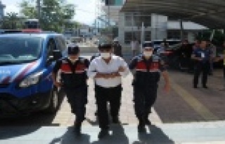 Alanya’da evinin bahçesinde uyuşturucu yetiştiren...