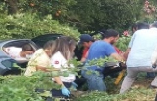 Alanya’da otomobil bahçeye uçtu: 1 yaralı
