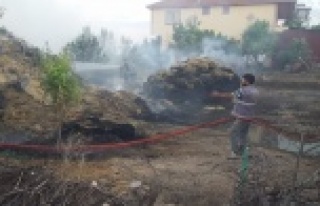 Alevler 750 adet saman balyasını kül etti