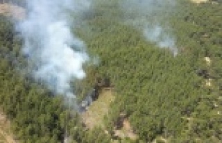 Antalya'da orman yangını