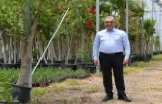 Başkan Esen, 250 fidan ile meydan okudu