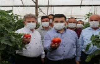 Başkan Tütüncü’den çiftçiye çifte müjde