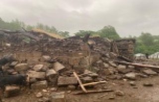 Bingöl'deki depremde iki köyde evler yıkıldı:...