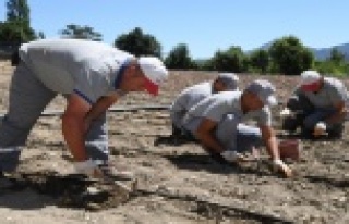 Çandır fasulyesi toprakla buluştu