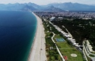 Danıştay, AL-SE'nin temyiz istemini kabul etti