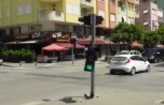 Kırmızı ışık ihlali yaptı trafik lambasına...