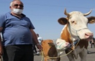 Kurban tedbirleri açıklandı