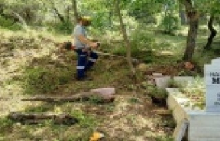 Mezarlıklarda temizleme çalışmaları