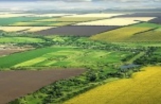 Milyonluk arsa icradan yarı fiyatına satılacak