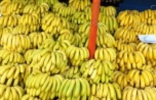 Muz üretimi 6 kat artışla 550 bin tona ulaştı