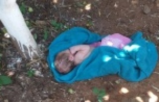 Vicdanları sızlatan görüntü