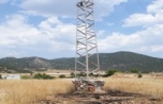 Yanarak elektrik direğinden yere düşen kargalar,...