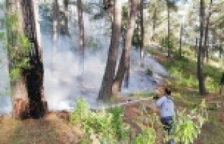 Yıldırım düşmesi sonucu çıkan yangın söndürüldü