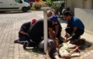 6. kattan düşen doktor hayatını kaybetti