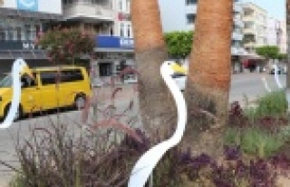 Alanya caddelerine sanatsal dokunuş