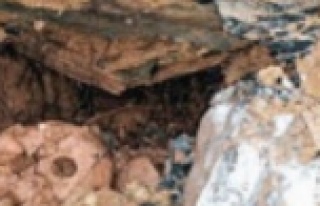 Alanya'da 8-10 yaşlarında 2 çocuğa ait iskelet...