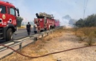 Alanya'da deniz kenarında korkutan yangın