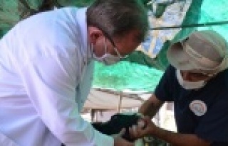 Alanya'da kurban kesimleri kontrol altında