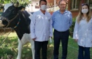 Alanya'da kurbanlar randevulu kesilecek