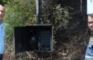 Alanya'da patlayan pano Manavgat'taki ormanı...